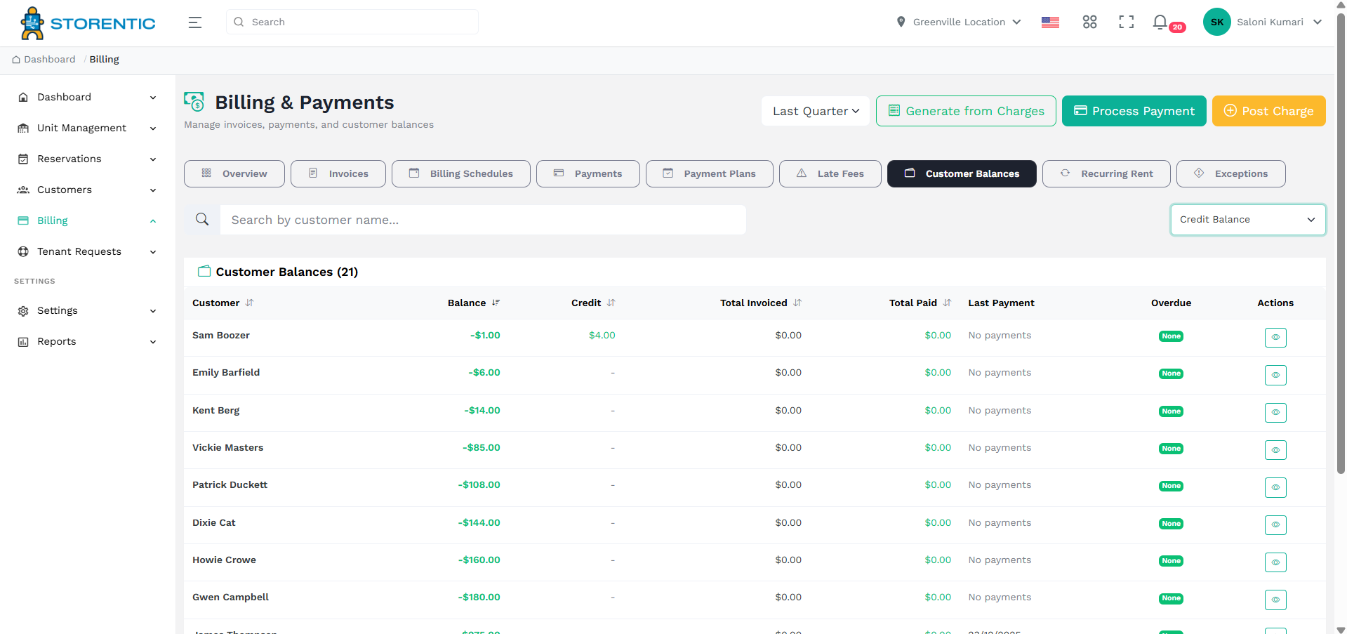 Financial reporting in Storentic Portal
